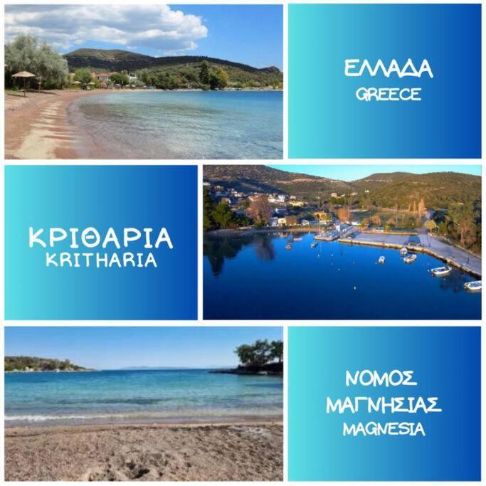 Kritharia Guesthouse Volos المظهر الخارجي الصورة
