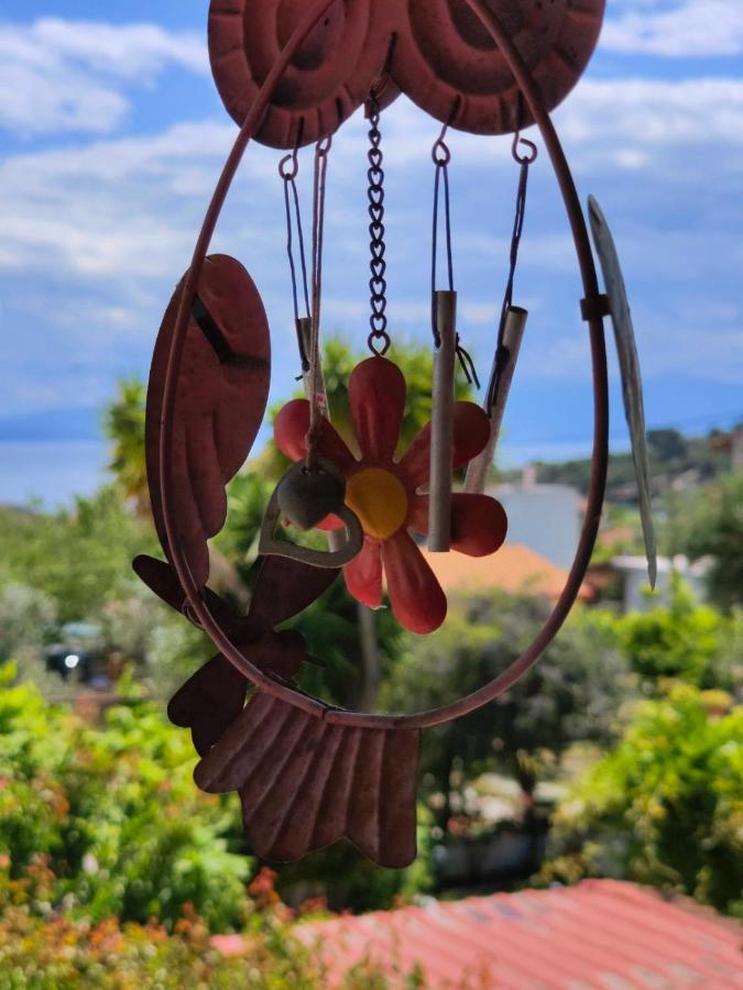 Kritharia Guesthouse Volos المظهر الخارجي الصورة