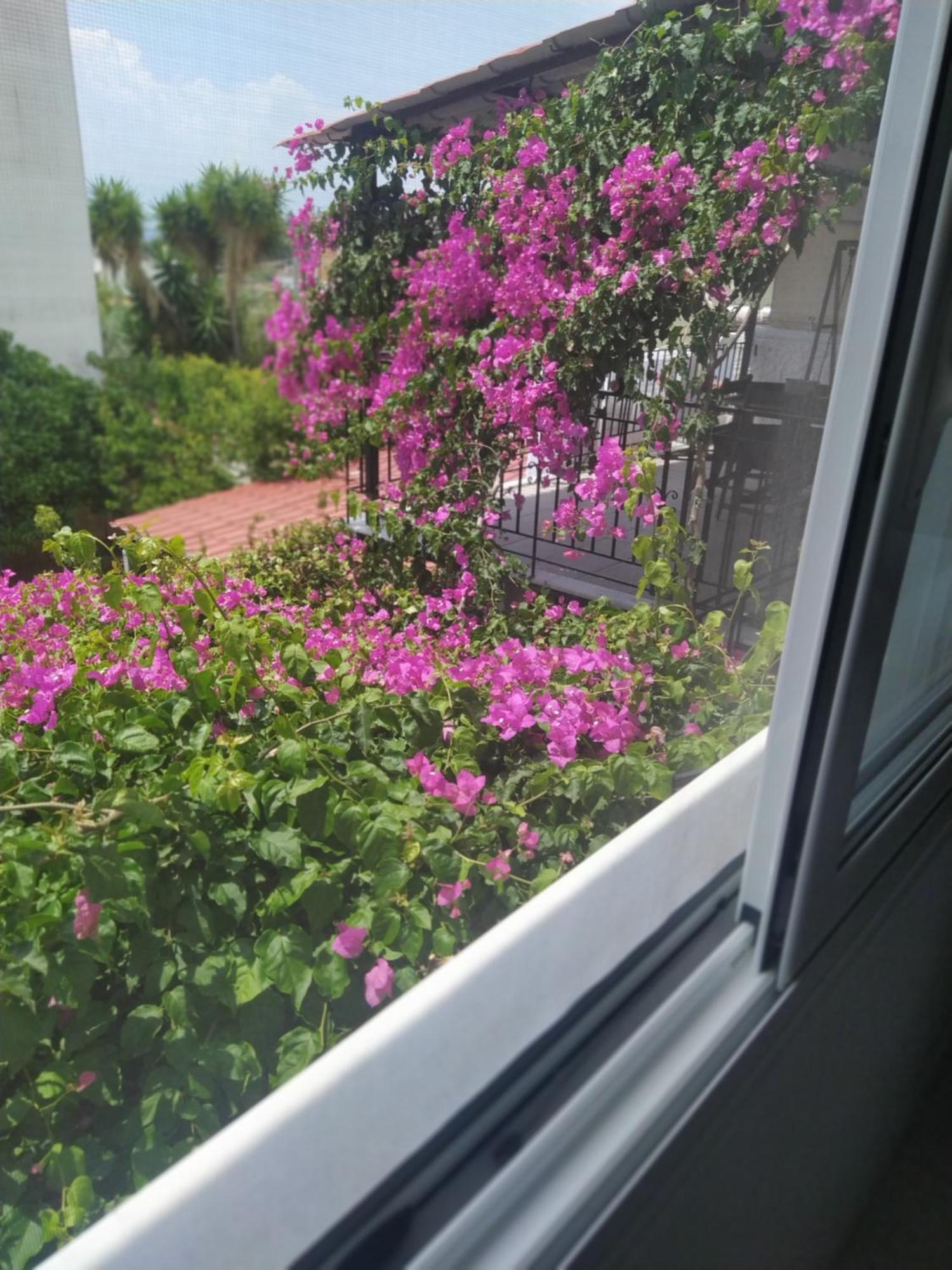 Kritharia Guesthouse Volos المظهر الخارجي الصورة